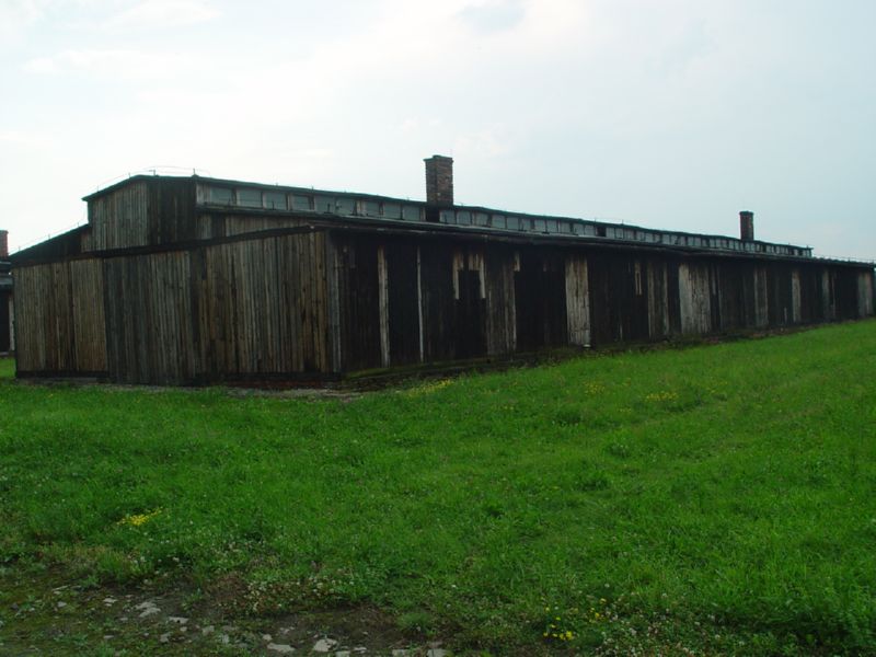 Birkenau View of barracks 3